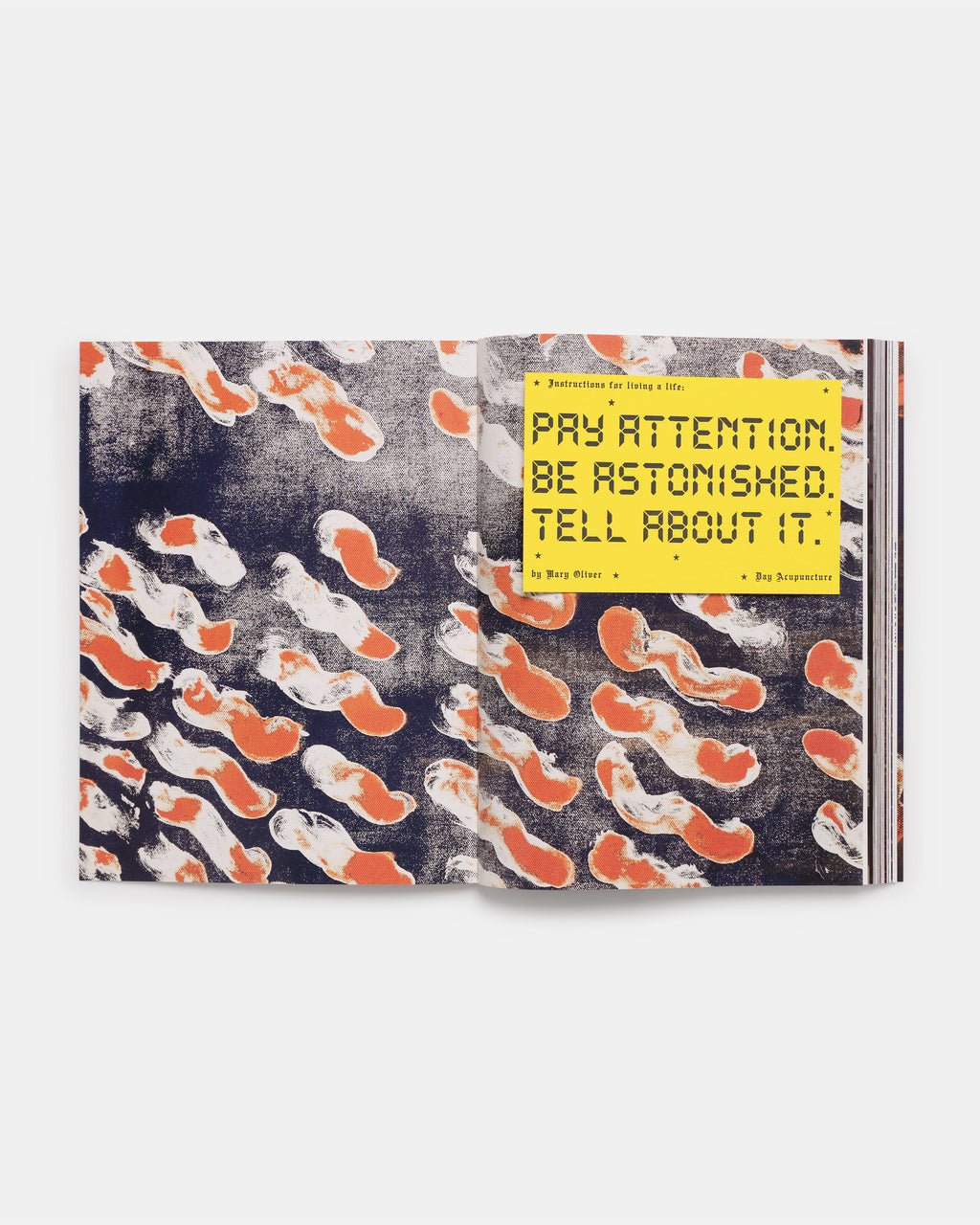 Local Optimist Issue 04