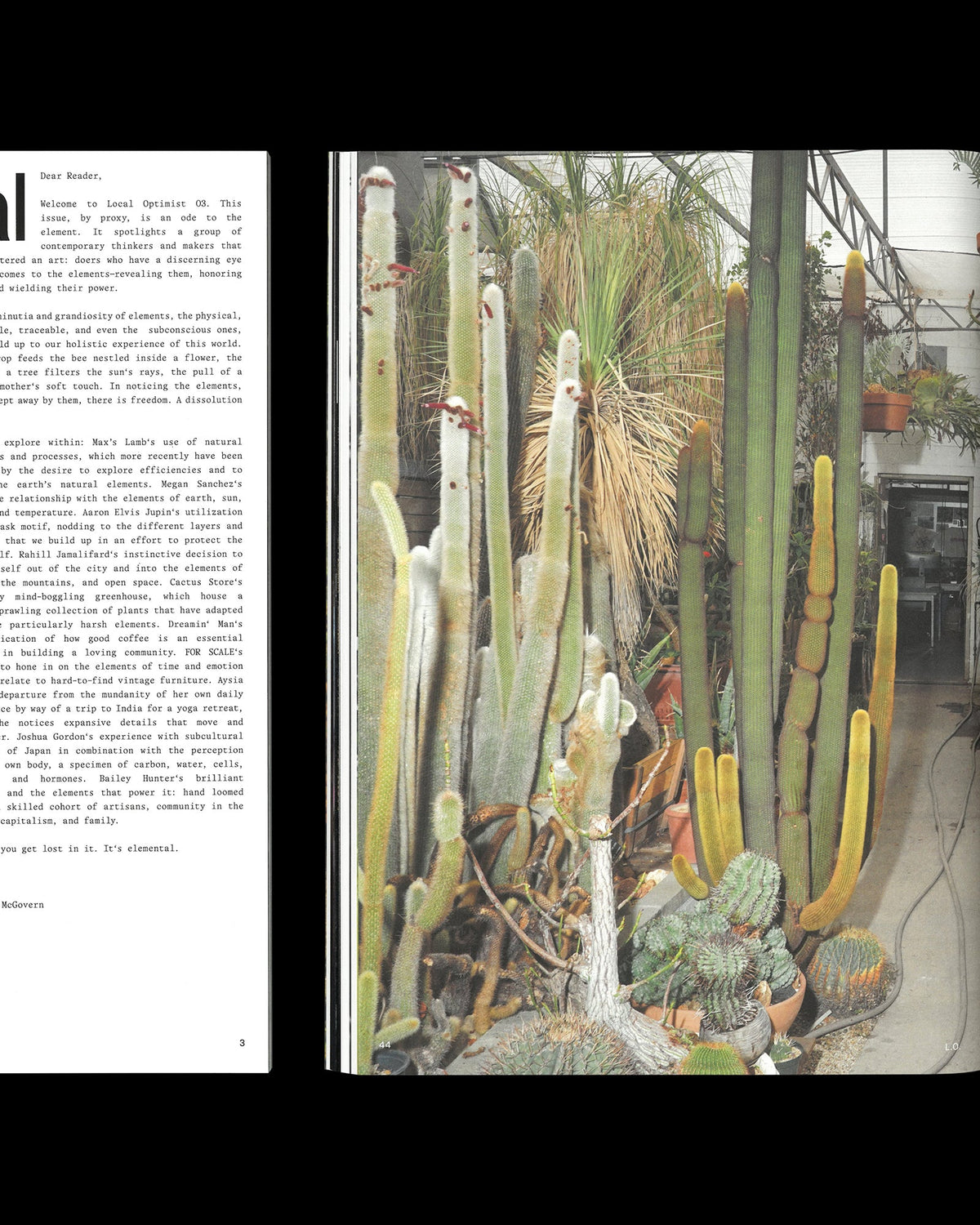 Local Optimist Issue 03
